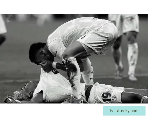 巴斯托尼遭网暴回击自救行动