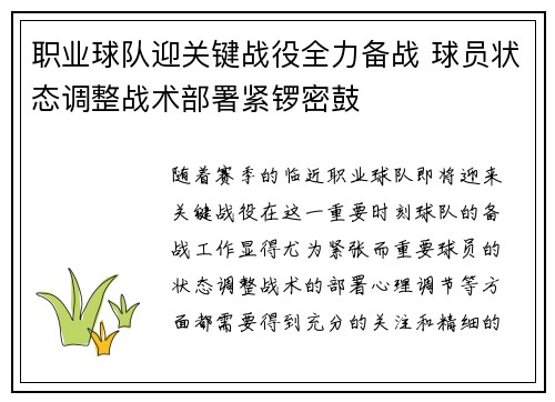 职业球队迎关键战役全力备战 球员状态调整战术部署紧锣密鼓