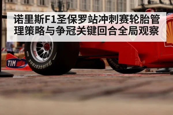 Formula 1 race car tire close up